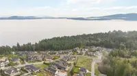 View 65
