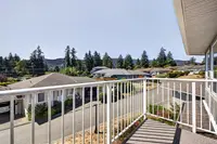 View 29