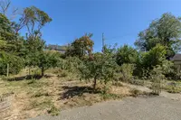 View 32