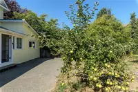 View 33