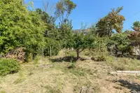 View 39
