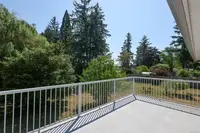 View 14