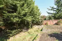 View 31