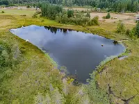 View 55