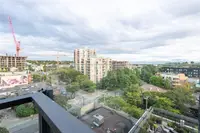 View 15