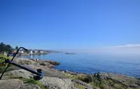 View 49