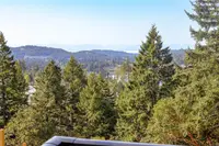 View 38