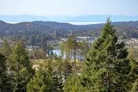 View 37