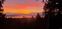 View 60