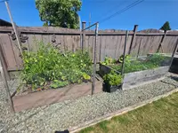 View 22
