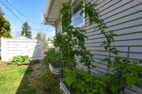 View 22