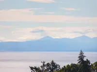 View 25