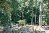 View 66