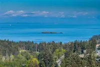 View 66