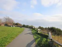 View 49
