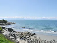 View 50