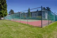 View 24