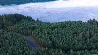 View 14