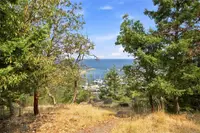View 24