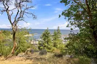 View 25