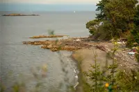 View 79