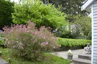 View 45