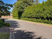 View 46