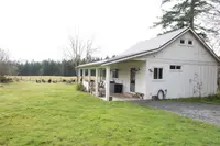 View 81