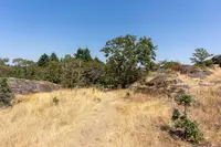 View 38
