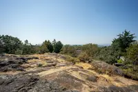 View 37