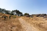 View 39