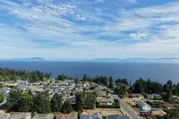 View 61