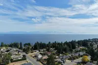 View 60