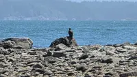 View 15