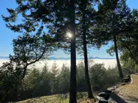 View 44