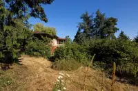 View 24