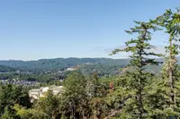 View 29