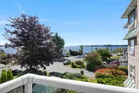 View 15