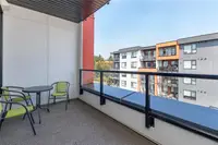 View 19
