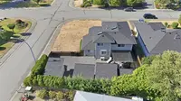 View 61