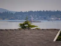 View 29