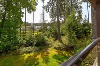 View 30