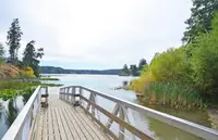 View 65