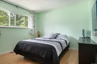 View 55