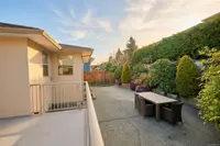 View 49