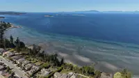 View 45