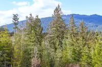 View 38
