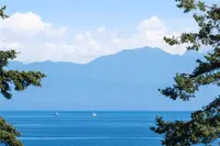 View 41
