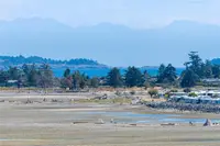 View 39