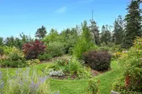 View 55